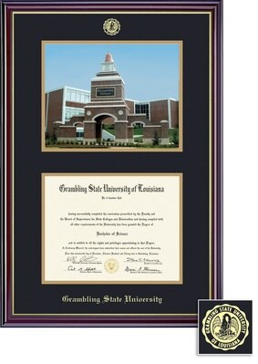 Framing Success 7 x 9 Windsor Gold Embossed School Seal Bachelors, Masters Diploma/Photo Frame