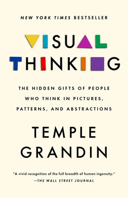 Visual Thinking: The Hidden Gifts of People Who Think in Pictures Patterns and Abstractions