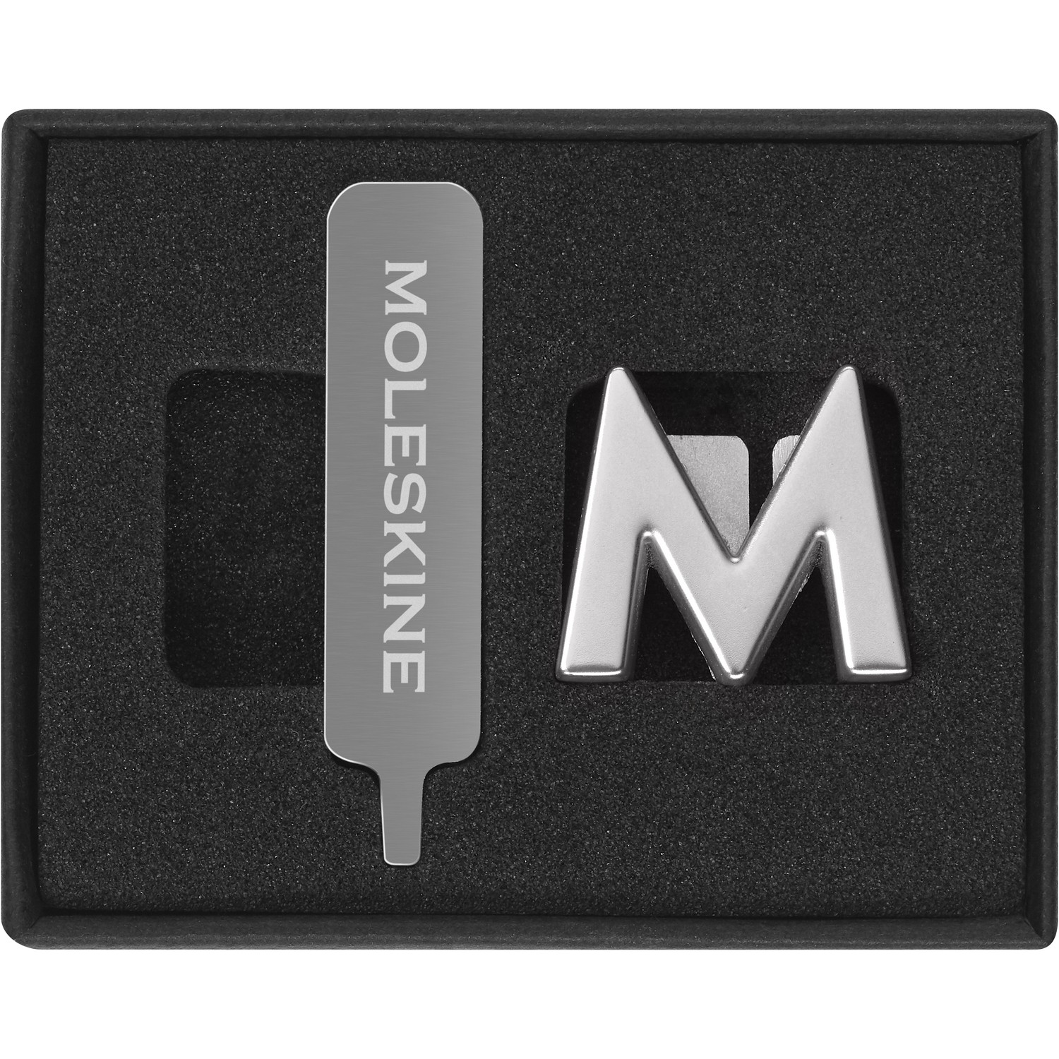 MOLESKINE PINS M SILVER