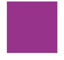 Paper-Miteintes 8.5X11 Violet