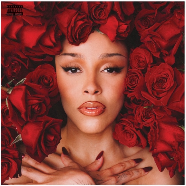 VIE (X) (2LP)
