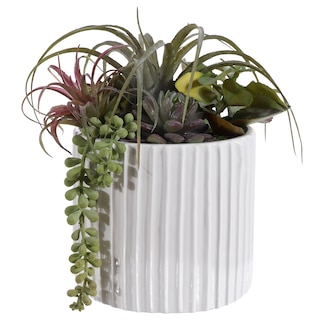 Safavieh Faux Potted Mixed Succulent