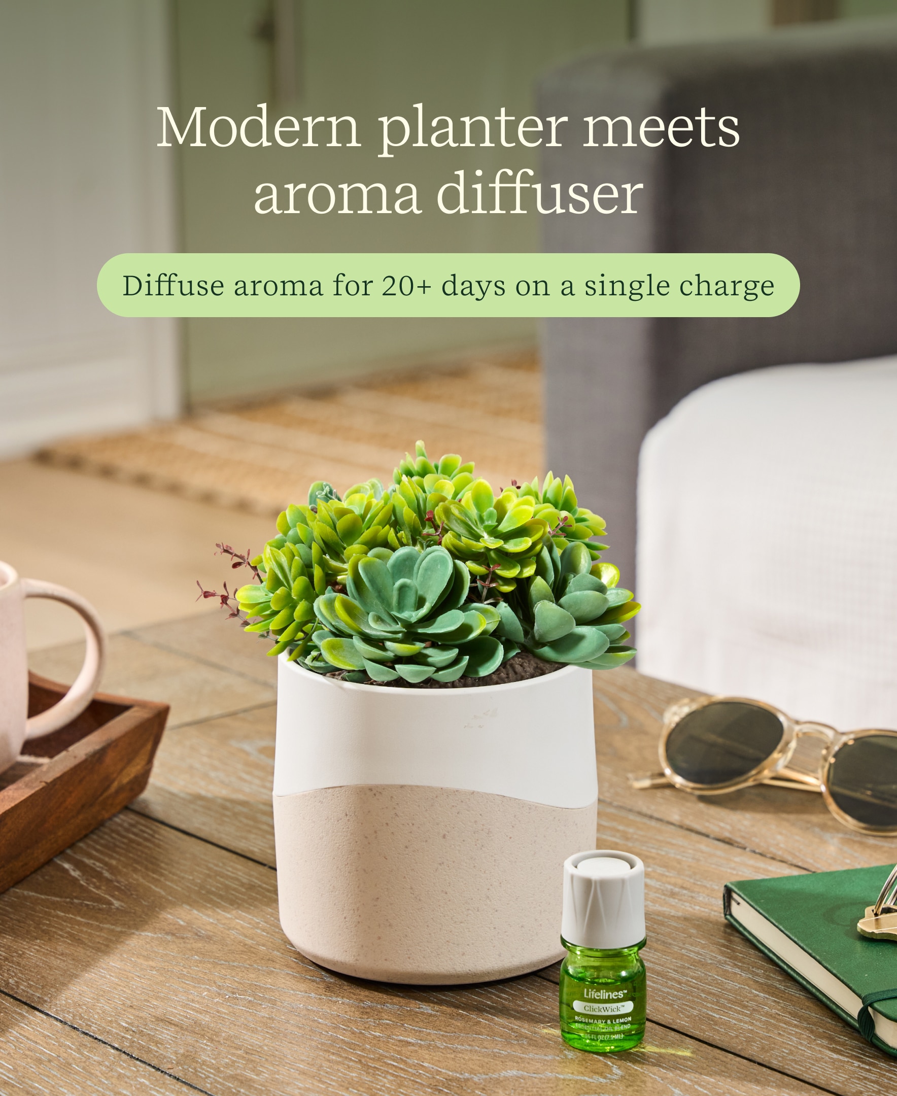Lifelines Planter Diffuser  -  Succulent - Two Toned