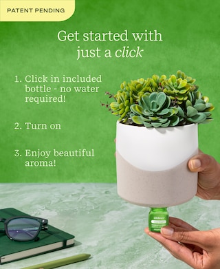 Lifelines Planter Diffuser  -  Succulent - Two Toned