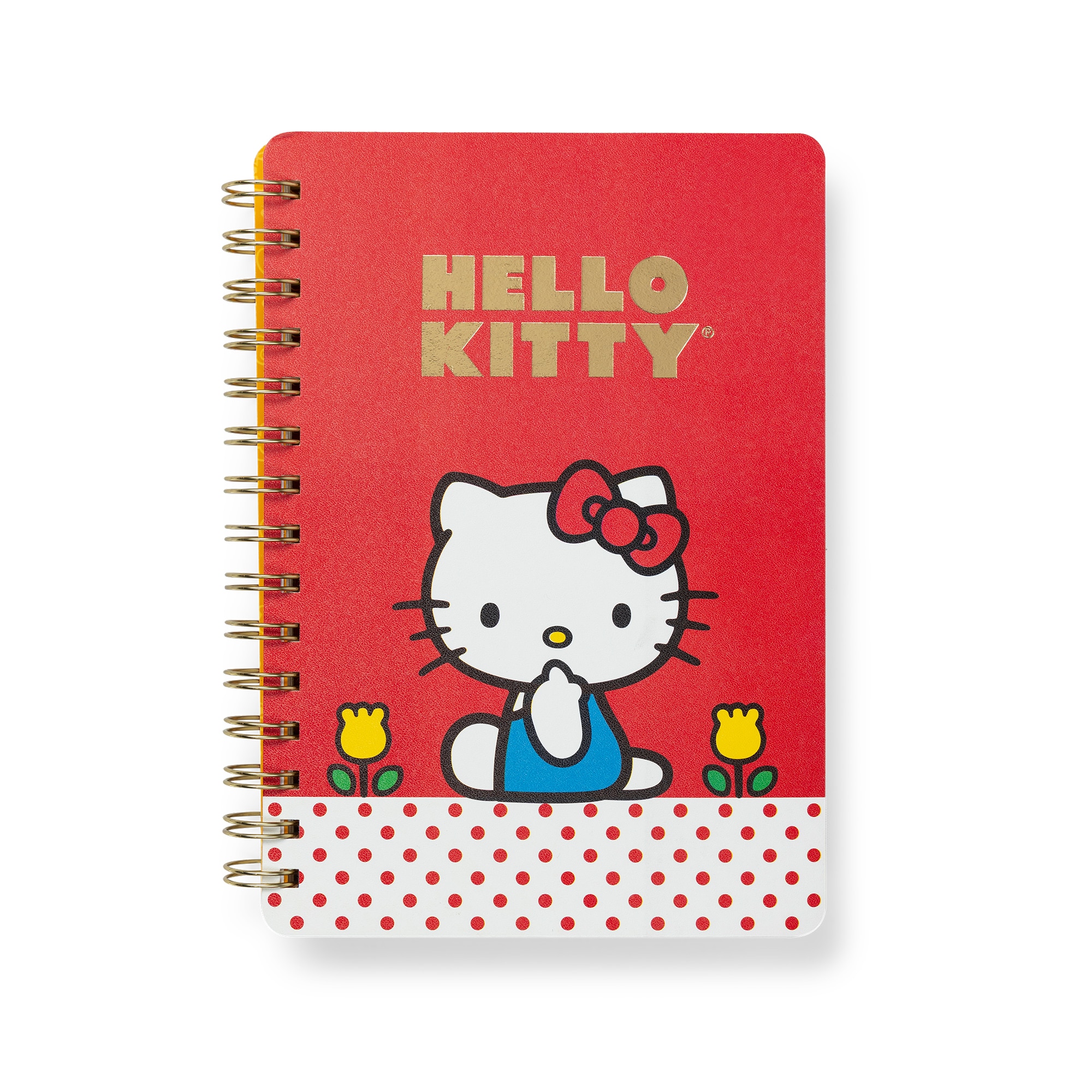 Studio Oh x Sanrio Retro Hello Kitty Agatha Notebook with Sticker Sheet