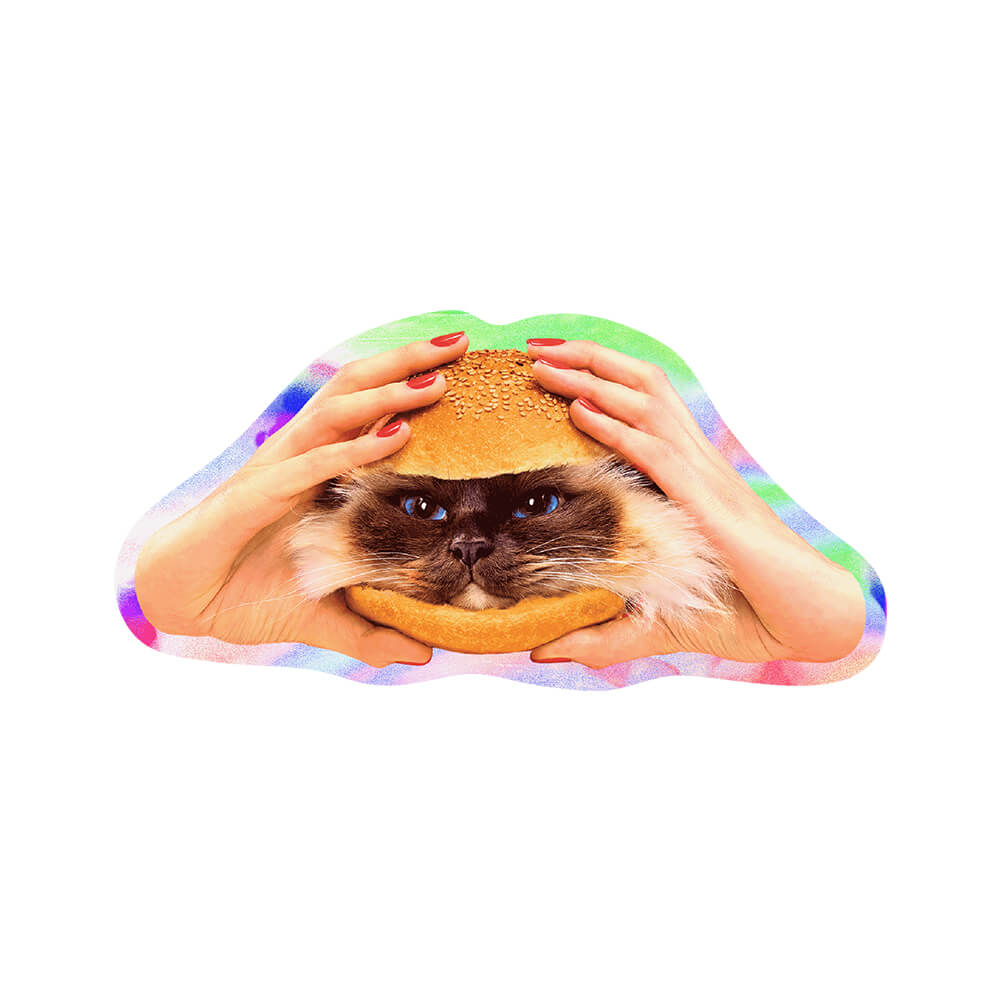 Catburger by Toiletpaper Magazine - Die-Cut Sticker