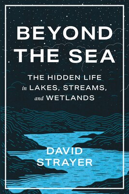 Beyond the Sea: The Hidden Life in Lakes  Streams  and Wetlands