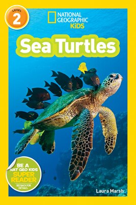 Sea Turtles (National Geographic Kids Readers  Level 2)