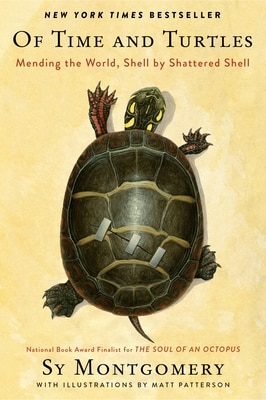 Of Time and Turtles: Mending the World  Shell by Shattered Shell
