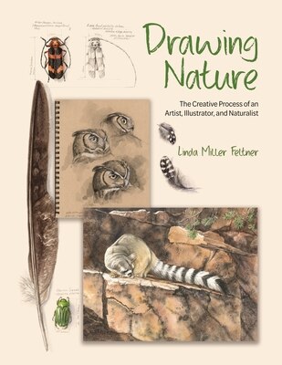 Drawing Nature: The Creative Process of an Artist  Illustrator  and Naturalist