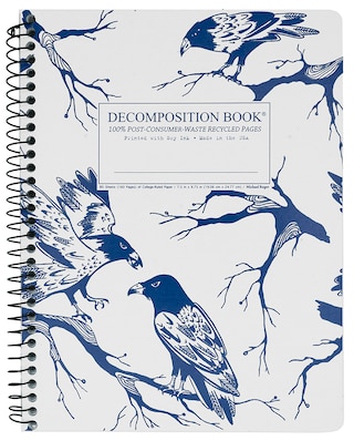 Michael Roger Coilbound Decomposition Book Ravens Lined