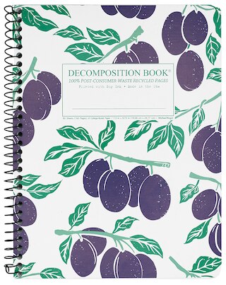 Michael Roger Coilbound Decomposition Book Italian Plums Lined