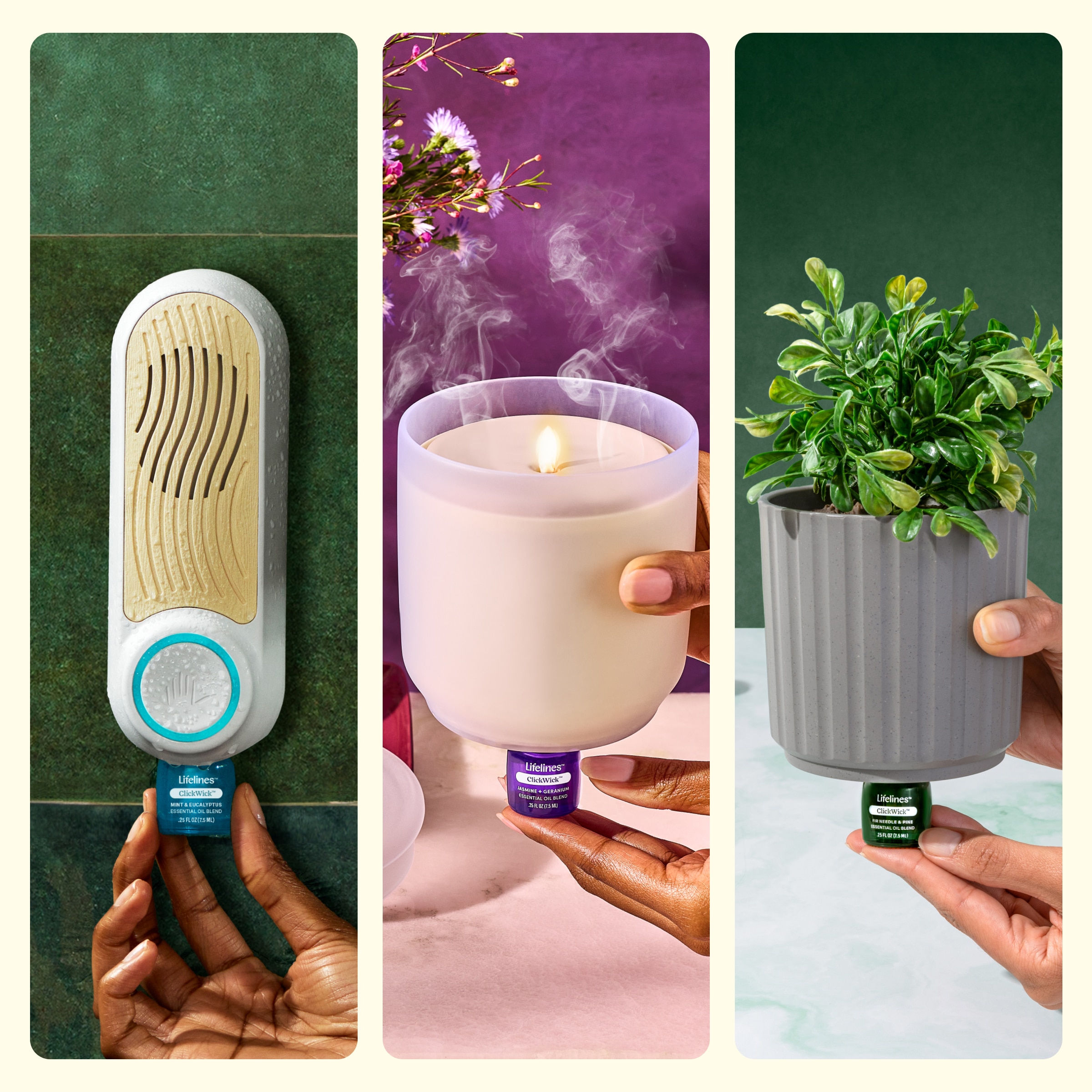 Lifelines ClickWick Discovery Set - 4-Pack