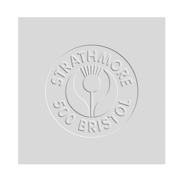 Bristol 3ply Vellum Surface 23x29