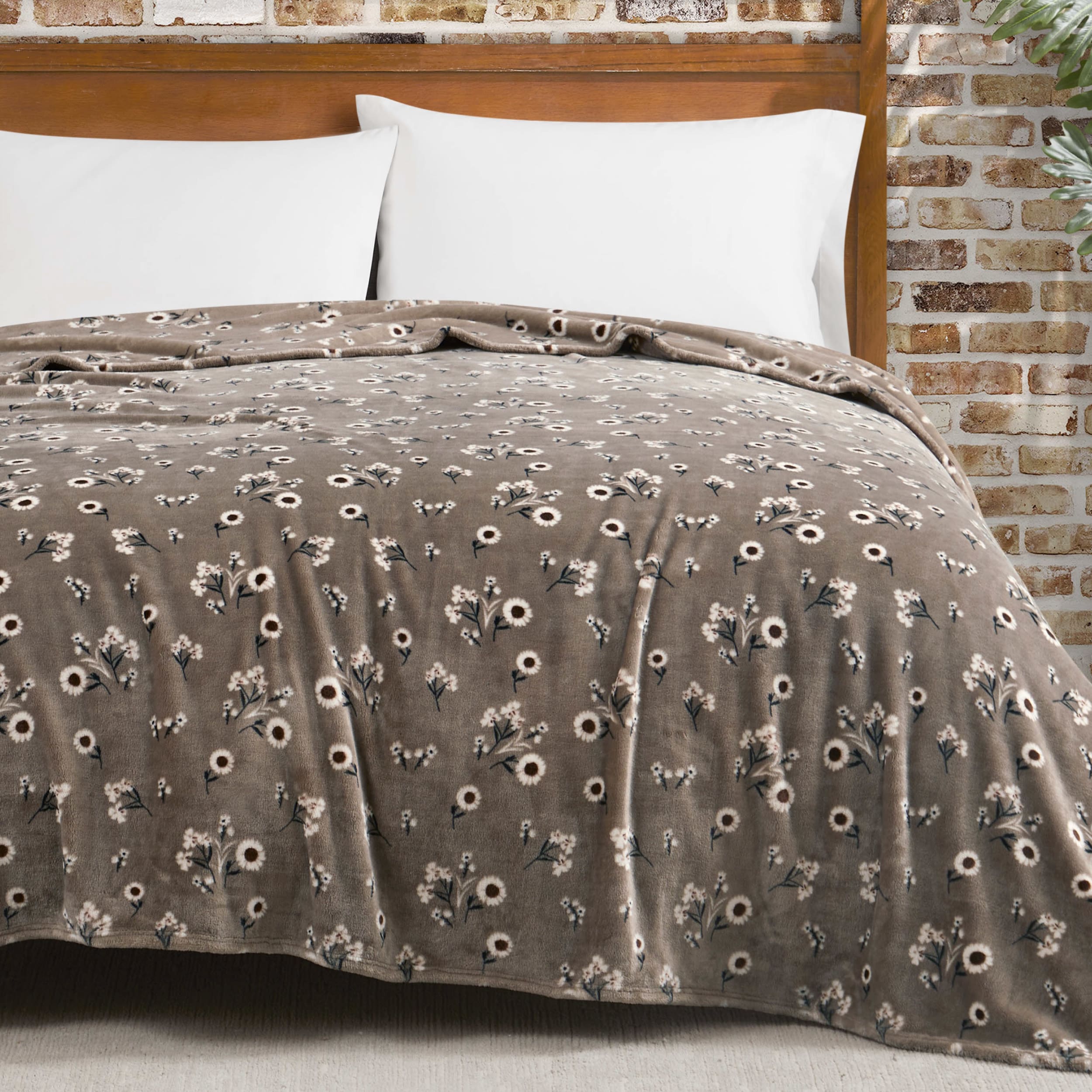 Lucky Brand Daisy Plush Bed Blanket