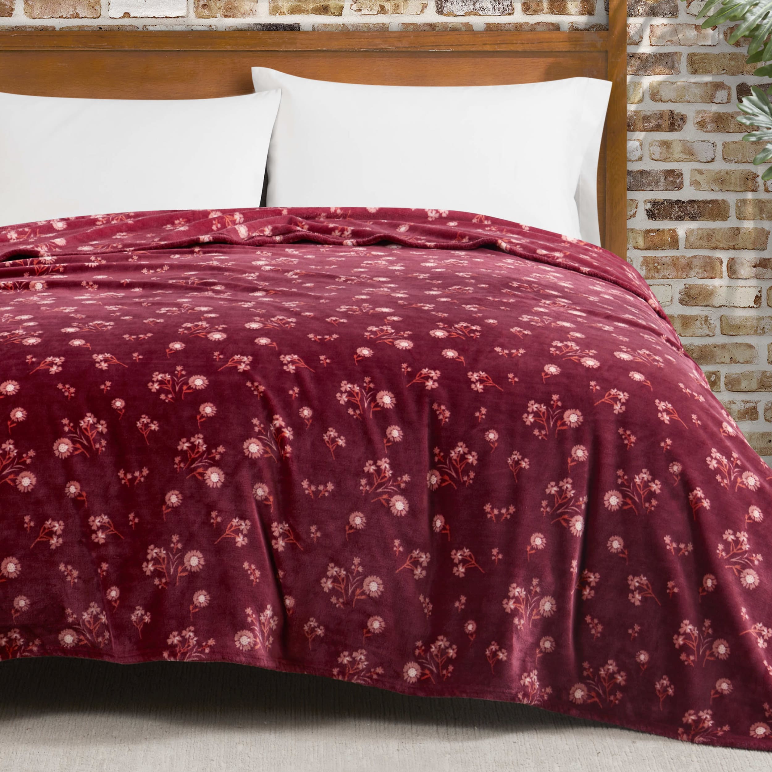 Lucky Brand Daisy Plush Bed Blanket