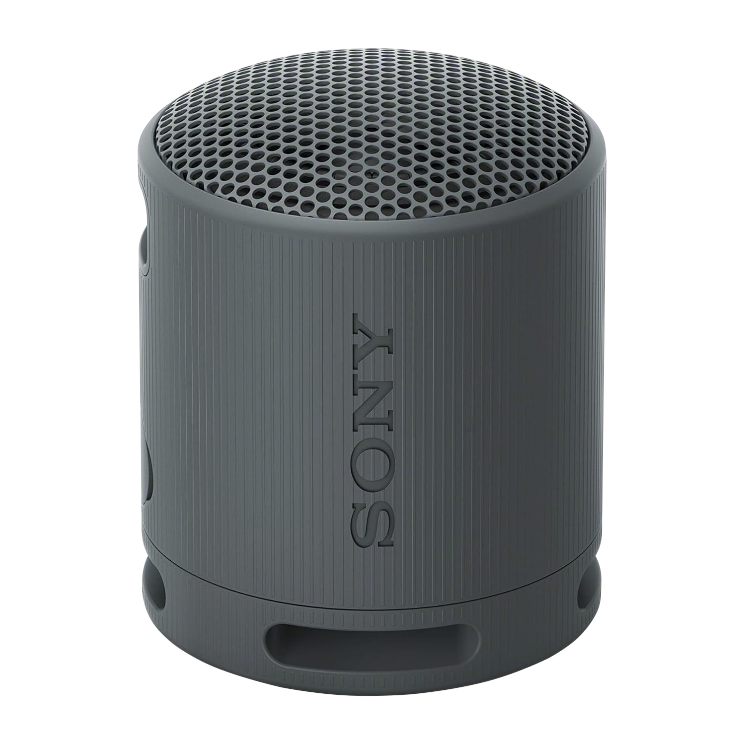 Sony Portable Bluetooth Wireless Speaker