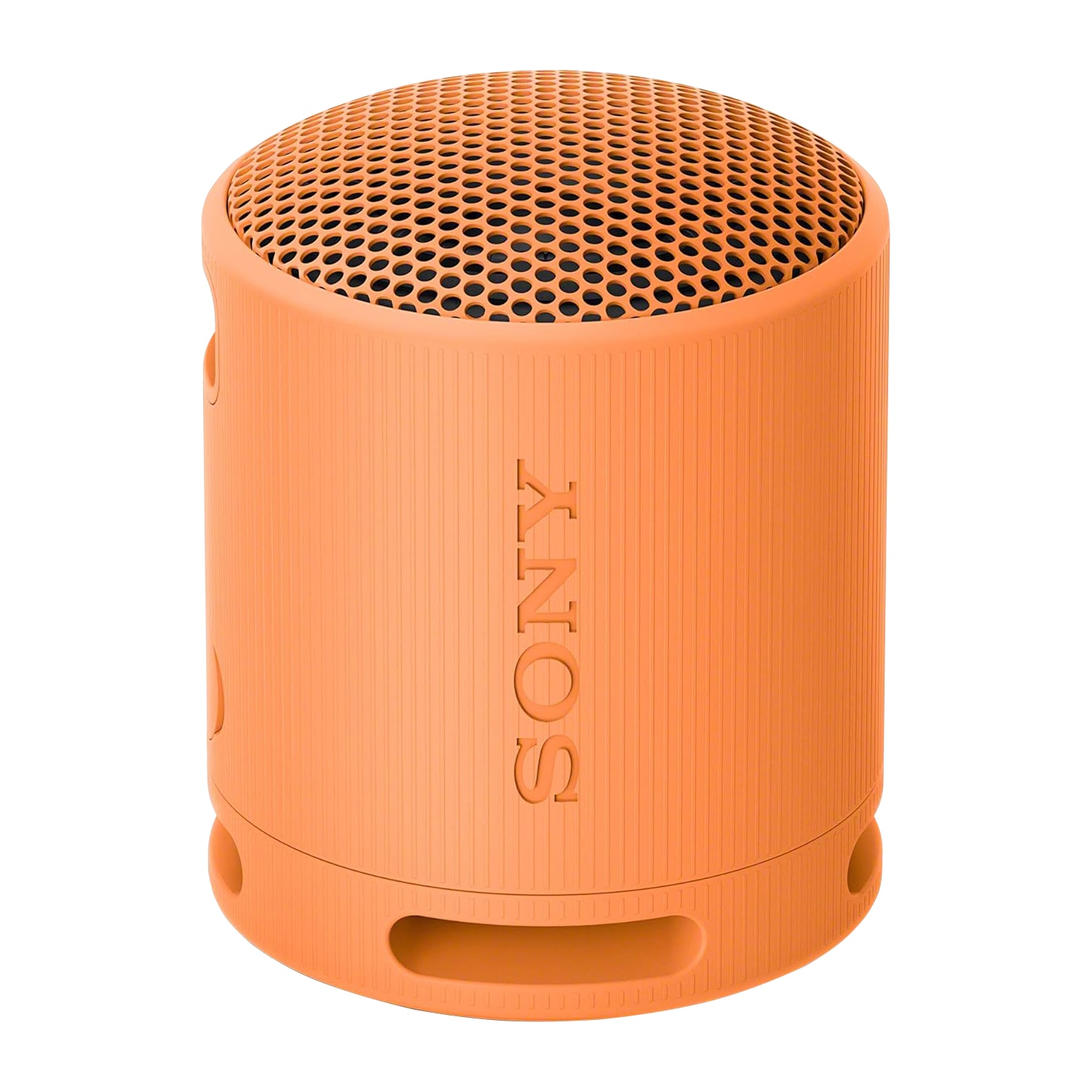 Sony Portable Bluetooth Wireless Speaker