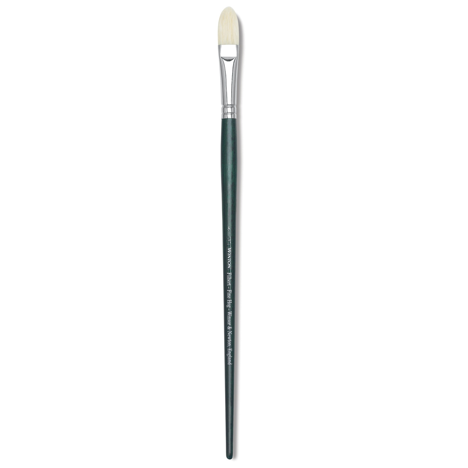 Winsor & Newton Winton Brush, Filbert, 8