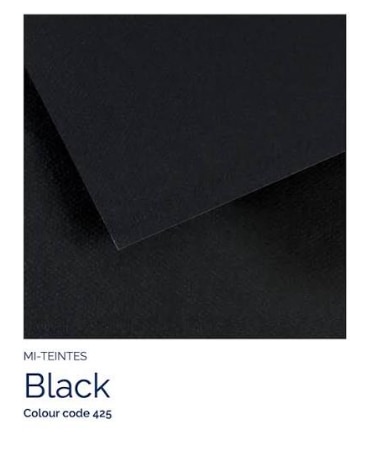 Canson Mi-Teintes Drawing Paper - 19" x 25" Black Single Sheet