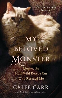 My Beloved Monster: Masha  the Half-Wild Rescue Cat Who Rescued Me