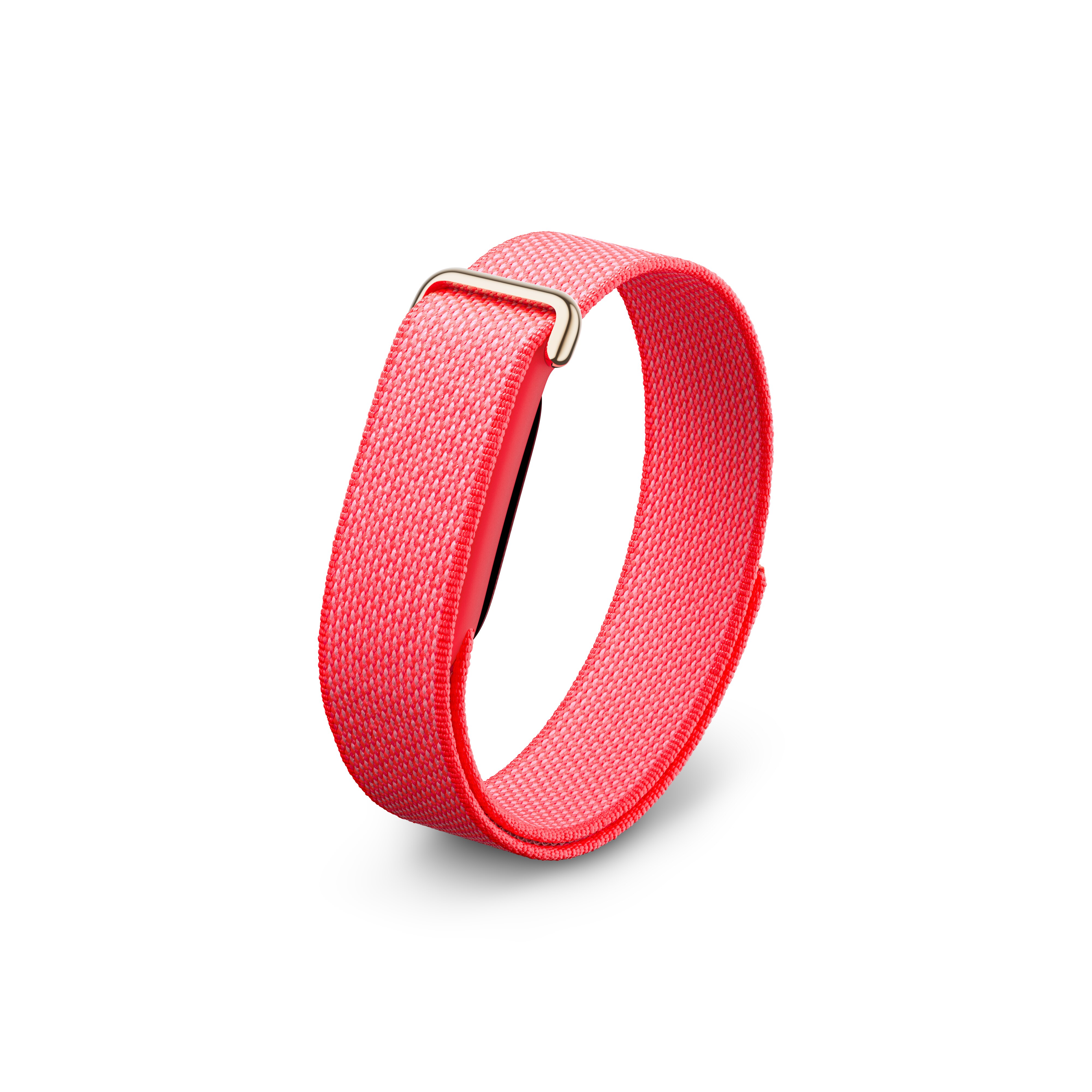 Google Fitbit Air