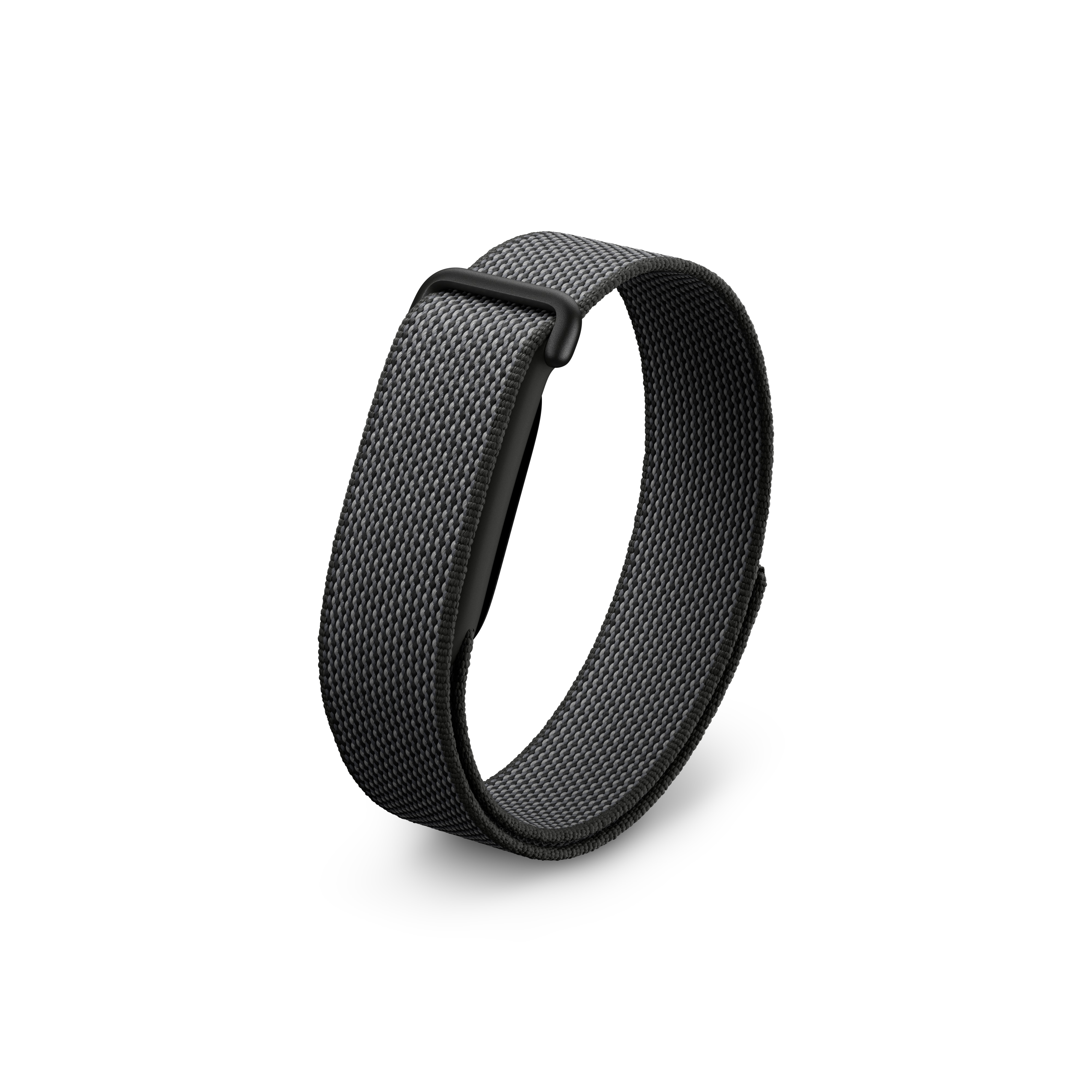 Google Fitbit Air