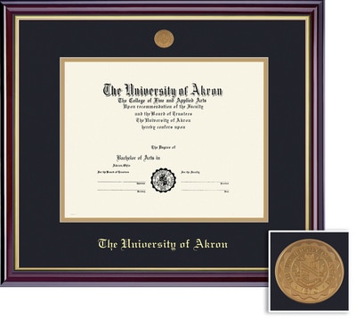 Framing Success 11 x 14 Windsor Gold Medallion Doctorate Diploma Frame