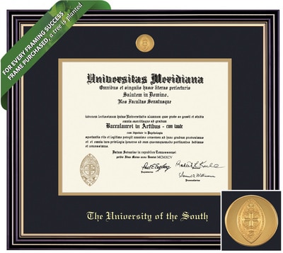 Framing Success 11 x 14 Prestige Gold Medallion Bachelors, Masters, Doctorate Diploma Frame