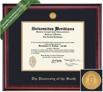 Framing Success 11 x 14 Classic Gold Medallion Bachelors, Masters, Doctorate Diploma Frame