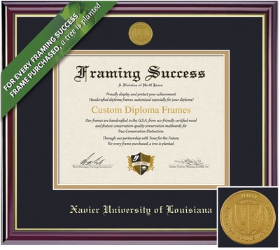 Framing Success 14 x 17 Windsor Gold Medallion PhD Diploma Frame
