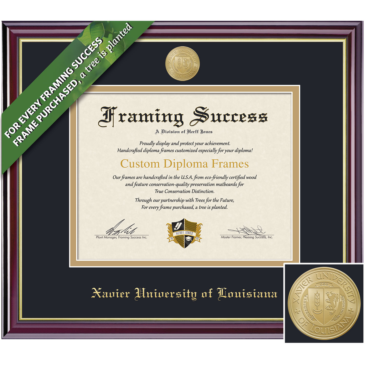 Framing Success 8.5 x 11 Windsor Gold Medallion Bachelors, Master Diploma Frame