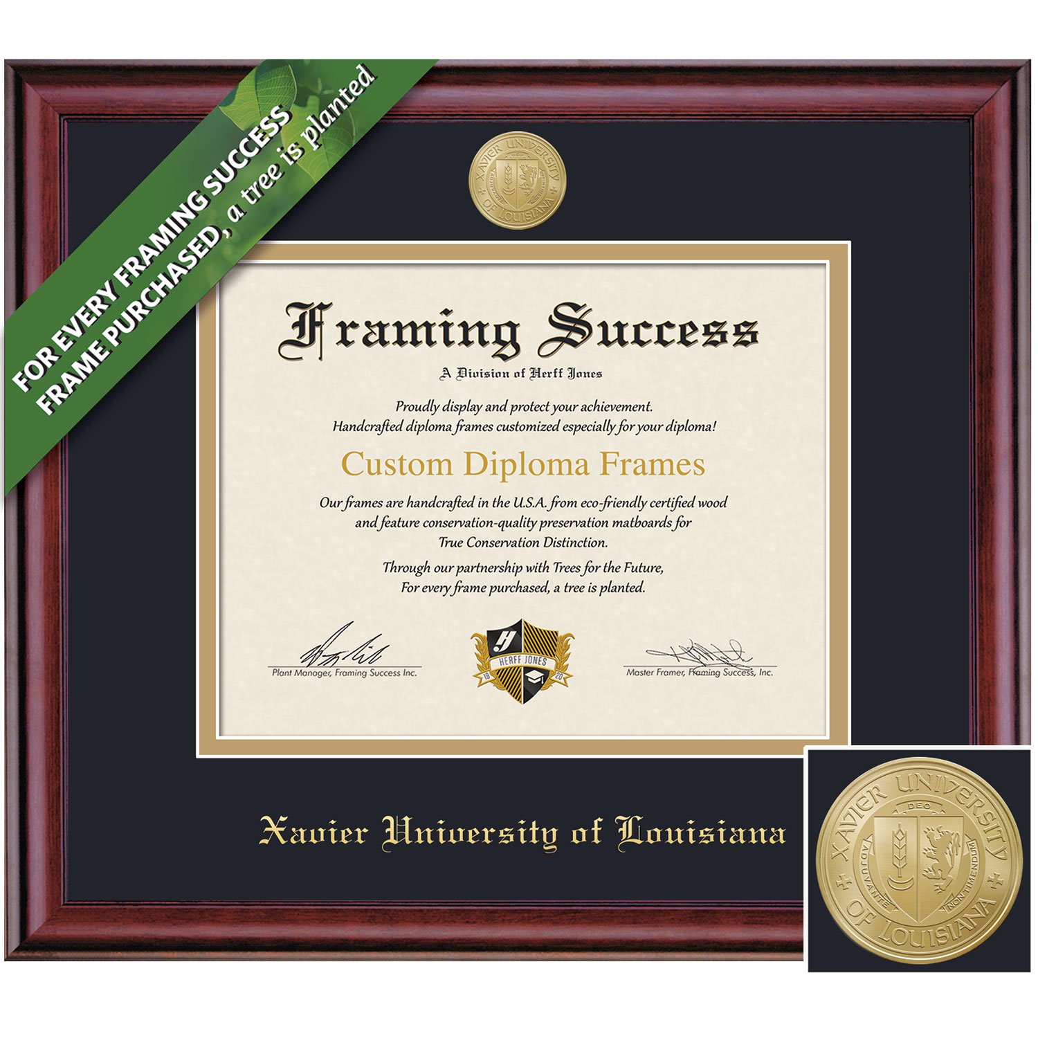 Framing Success 8.5 x 11 Classic Gold Medallion Bachelors, Master Diploma Frame