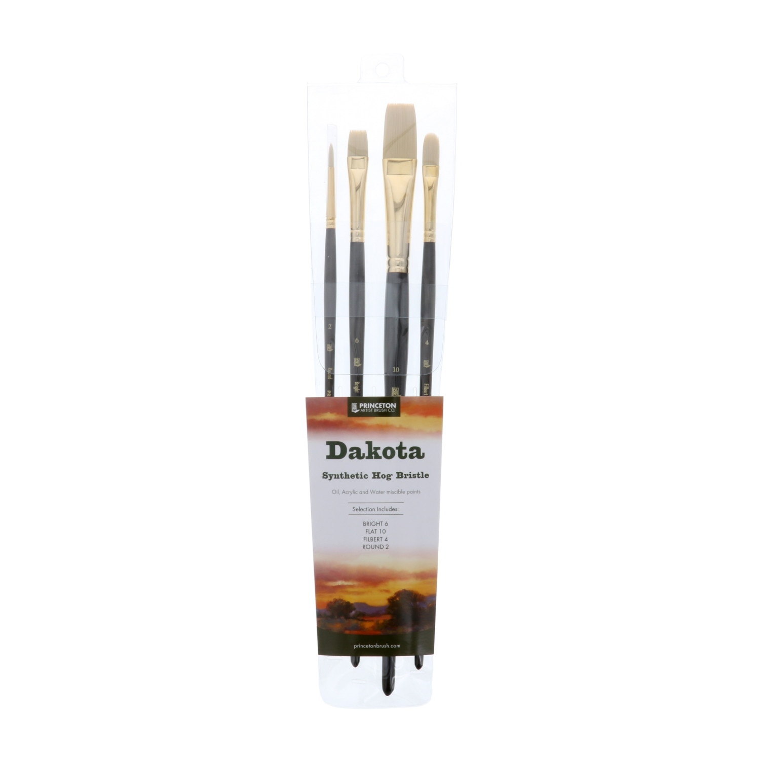 Professional Dakota Brush Set 4