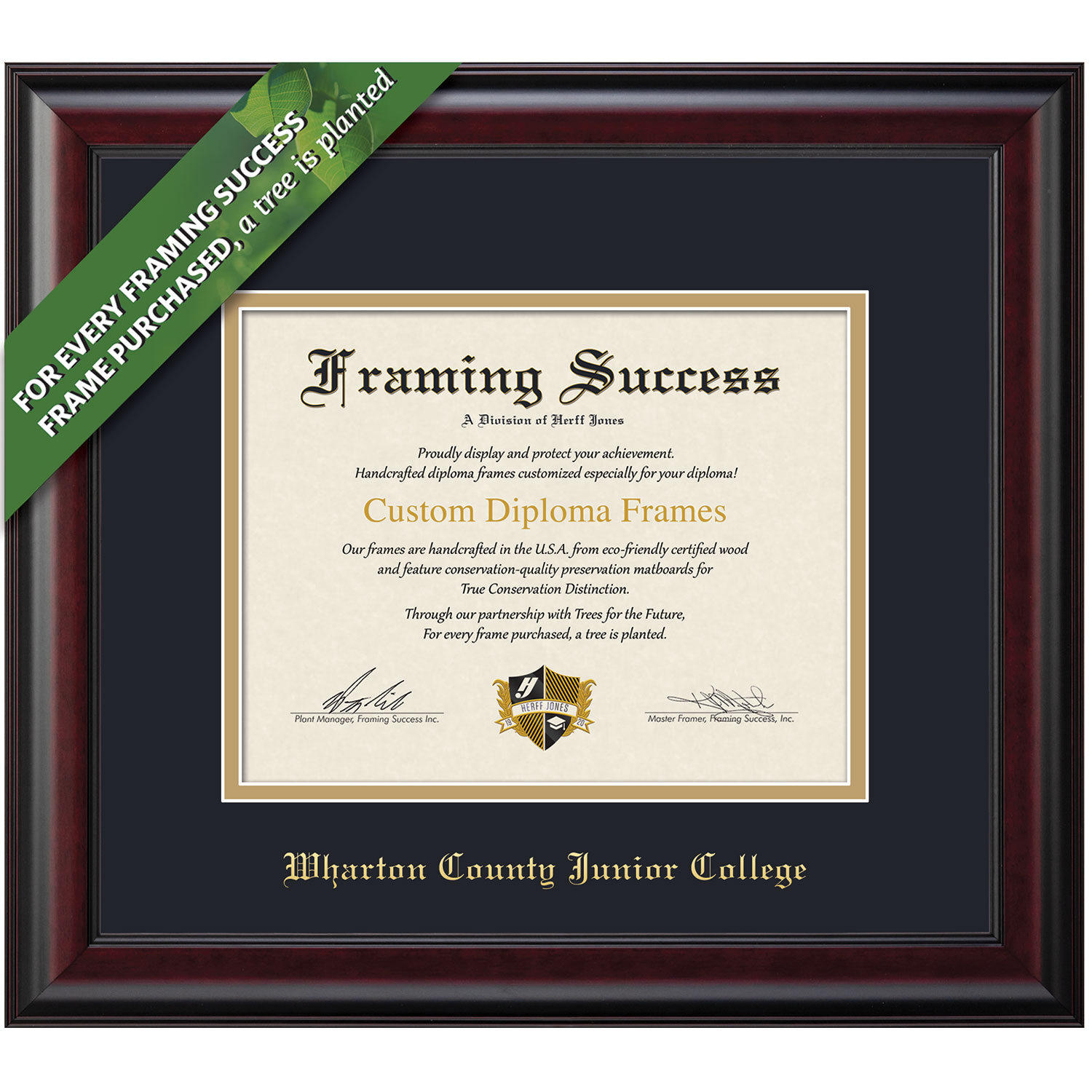 Framing Success 8.5 x 11 Classic Gold Embossed School Name Associates Diploma Frame