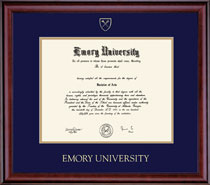 Framing Success 14 x 17 Classic Gold Embossed School Seal Bachelors, Masters Diploma Frame