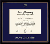 Framing Success 14 x 17 Prestige Gold Embossed School Seal Bachelors, Masters Diploma Frame