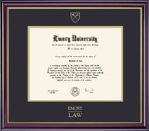 Framing Success 14 x 17 Windsor Gold Embossed School Seal School Of Law Diploma Frame