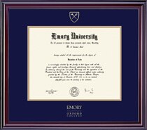 Framing Success 14 x 17 Elite Gold Embossed School Seal Associates Diploma Frame