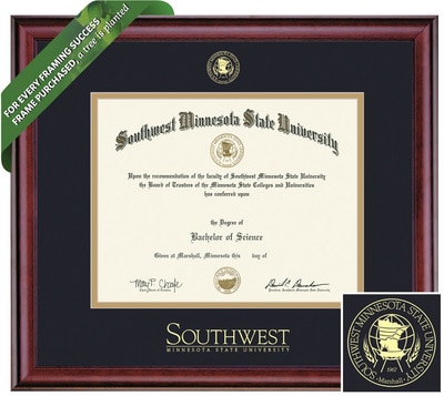 Framing Success 8 x 10 Classic Gold Embossed School Seal Associates, Bachelors, Masters Diploma Frame