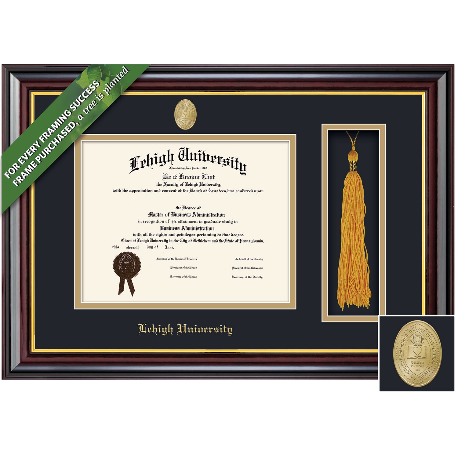Framing Success 14 x 17 Windsor Gold Medallion Bachelors, Masters, Doctorate Diploma/Tassel Frame