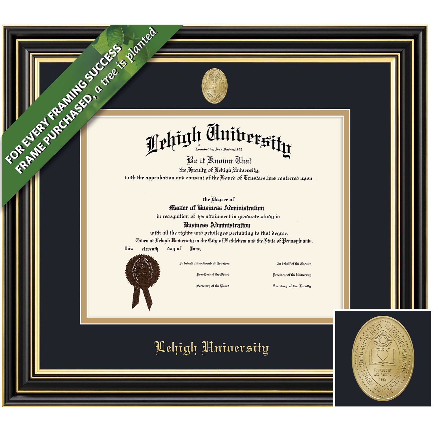 Framing Success 14 x 17 Prestige Gold Medallion Bachelors, Masters Diploma Frame