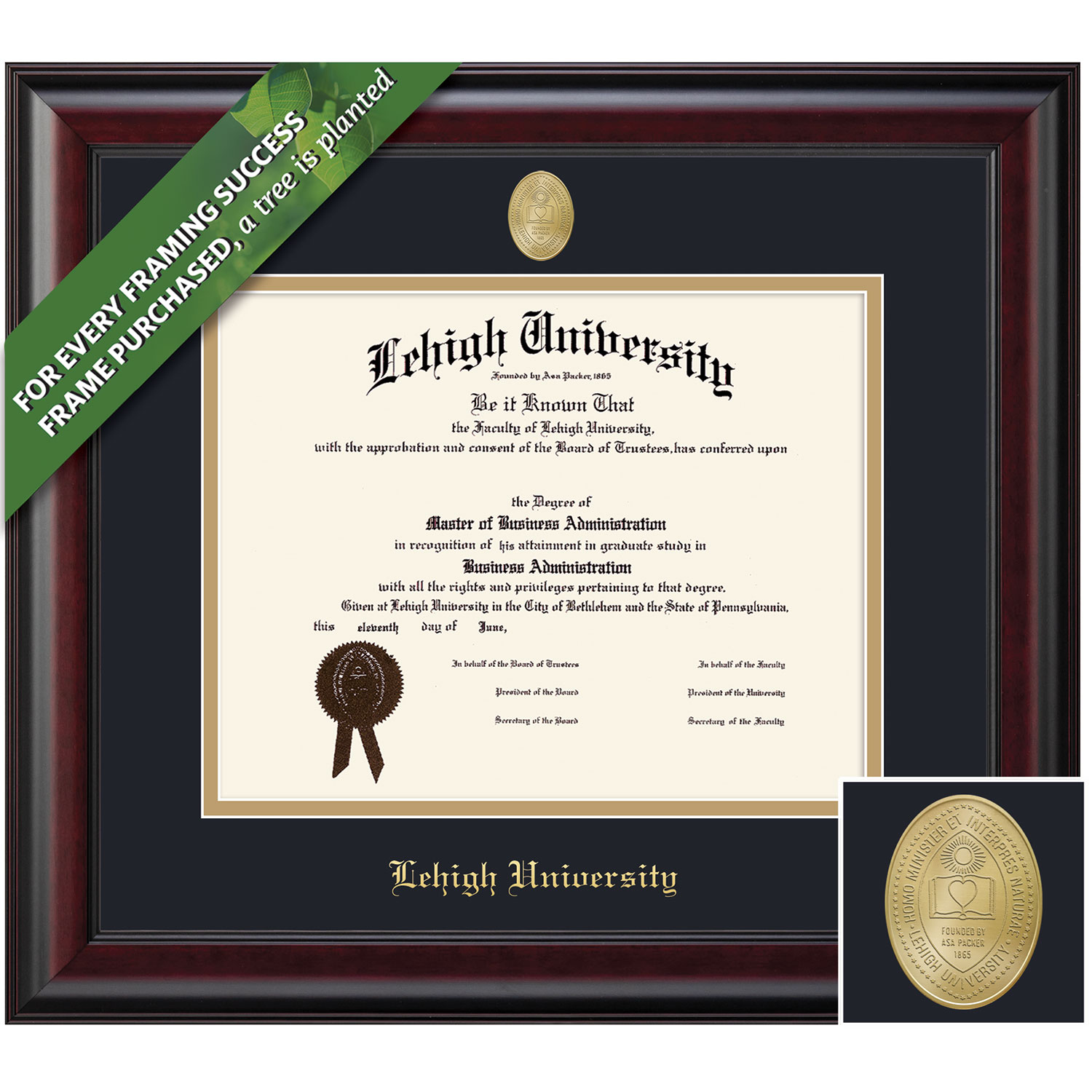 Framing Success 14 x 17 Classic Gold Medallion Bachelors, Masters Diploma Frame