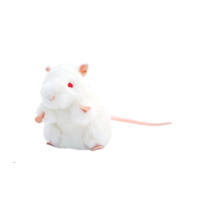 White Lab Mouse