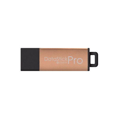 Centon USB 2.0 32GB Rose Gold Metallic