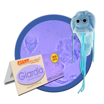 Giardia