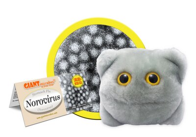 Norovirus