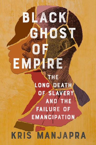 Black Ghost of Empire: The Long Death of Slavery and the Failure of Emancipation