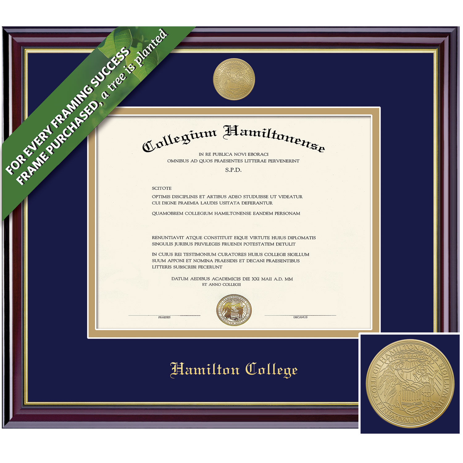 Framing Success 12.5 x 14.5 Windsor Gold Medallion Bachelors, Masters, Doctorate Diploma Frame