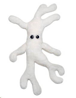 Bone Cell Giant
